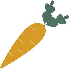 Carrot. Vector  Illustration
