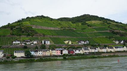 01_The vineyards of the Rhine Valley in Germany are a UNESCO World Heritage Site.