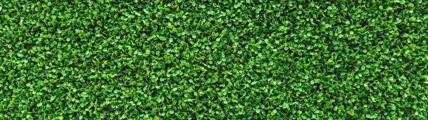 Obraz premium Aerial view of lush green grass on a golf course, showcasing vibrant textures and patterns across the landscape.