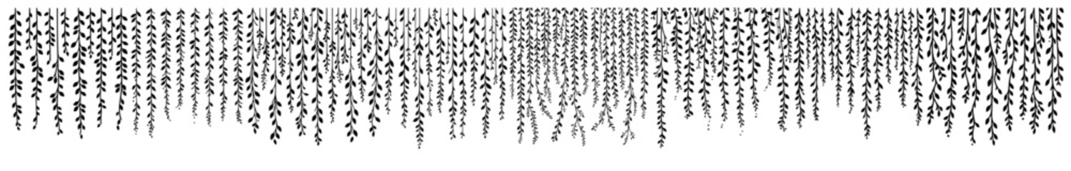 hanging vines illustration creating a natural curtain effect garland vector shape © Kaz