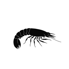 black silhouette of a shrimp
