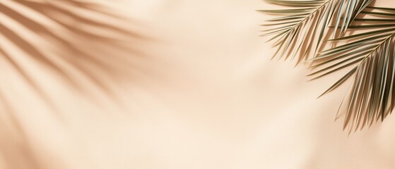 Fototapeta premium Beach scene with soft sand textures, intricate shadows cast by palm leaves, warm beige tones creating a serene coastal atmosphere