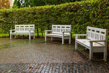 Three white benches waiting in the rain by the hedge