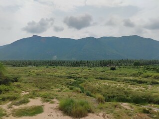 landscape with mountains and sky