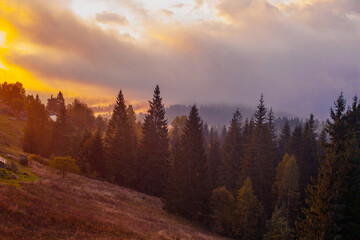 Sunrise misty morning taken in Carpathian mountains, Ukraine