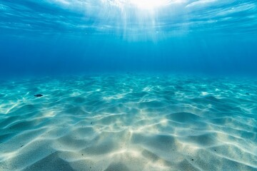 Fototapeta premium Serene underwater scene with sunlight illuminating the sandy ocean floor.