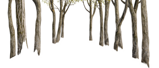 Die-cut trees with textured bark on a white isolated background.