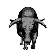 Bull , animal vector ilustration isolated design template cartoon 