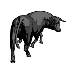 Bull , animal vector ilustration isolated design template cartoon 