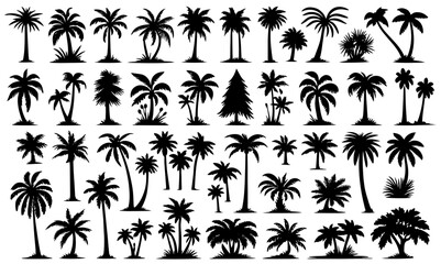 tropical palm tree, big collection set of black vector silhouette