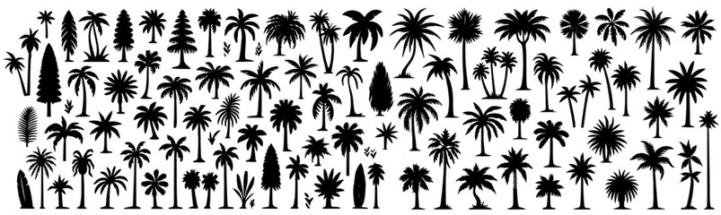 tropical palm tree, big collection set of black vector silhouette