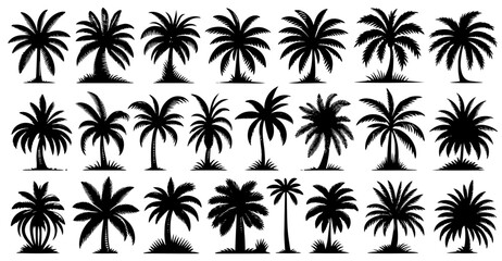Obraz premium tropical palm tree, big collection set of black vector silhouette