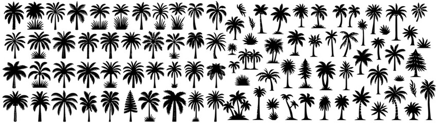 tropical palm tree, big collection set of black vector silhouette