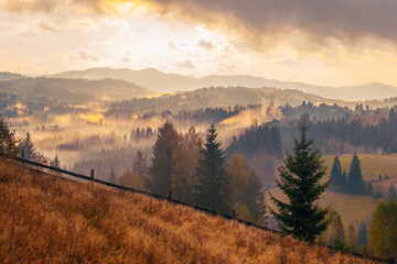 Sunrise misty morning taken in Carpathian mountains, Ukraine