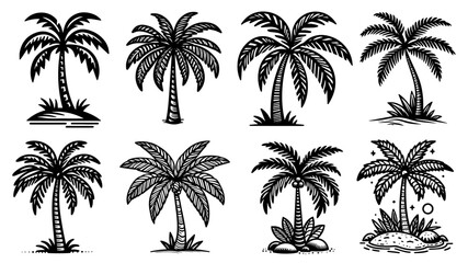 tropical palm tree, big collection set of black vector silhouette