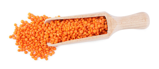 Raw lentils in scoop isolated on white, top view