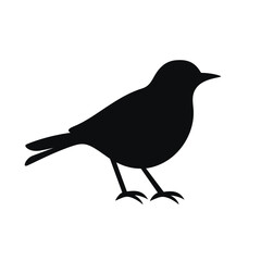 Obraz premium black silhouette of a robin bird