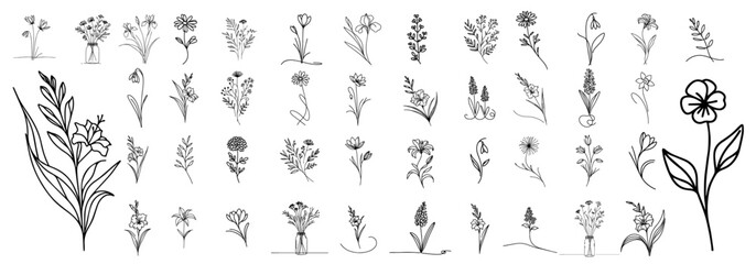 collection of delicate botanical illustrations of wildflowers