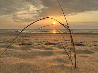 Sunset at the sea and beach with dune grass in the foreground