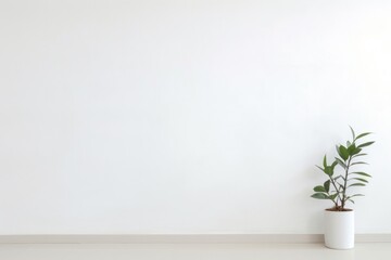 Wall architecture plant white.