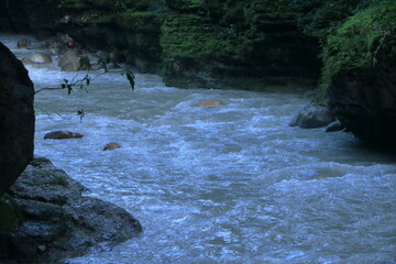 Beautiful views of the flowing river at Tapkeshwar Temple in Dehradun from different angles.