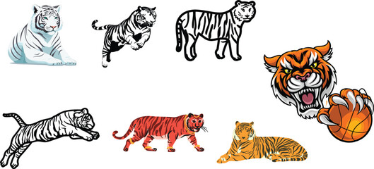 set of tiger