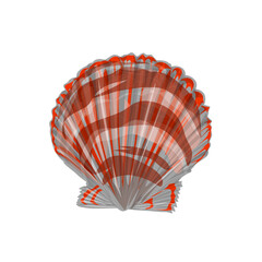 illustration of a red patterned sea shell icon without background