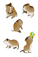 A cute northern tundra mouse lemmings in different poses characteristic of rodents. Digital graphic sketch for animal fans. Creative print or tattoo. Cartoon mascot in orange-brown gradient for kids.