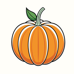 Pumpkin vector illustration isolated on white background