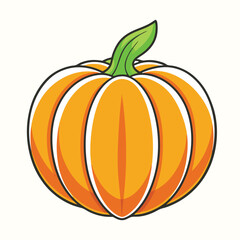 Pumpkin vector illustration isolated on white background