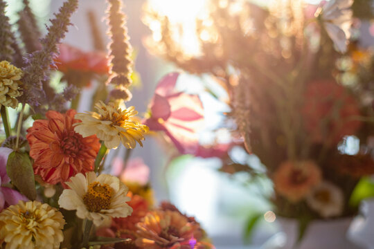 Close-up of a vibrant bouquet of flowers bathed in warm sunlight with a soft-focus background.