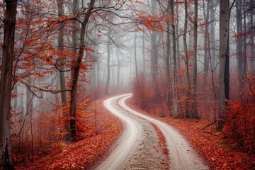 Fototapeta premium Autumn landscape autumn nature tranquility.
