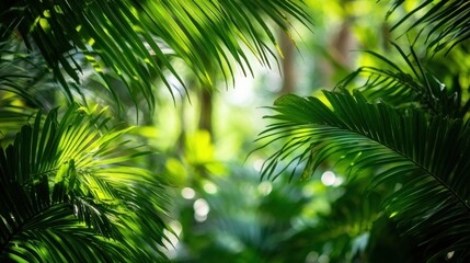 Fototapeta premium Lush green foliage in a vibrant tropical setting, creating a serene and natural atmosphere.