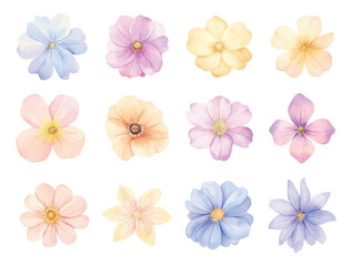 Obraz premium Watercolor clipart of various flowers in pastel colors