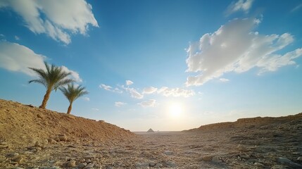 Scenic Desert Landscape with Palm Trees and Sunlit Sky