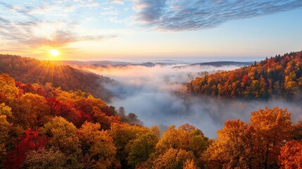 Fototapeta premium Breathtaking autumn sunrise over misty forest valley