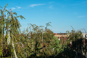 Panorama of Novi Sad, Vojvodina, Serbia on a sunny day cityscape with copy space