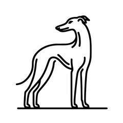 Outline Illustration of a Sighthound Dog Standing | Whippet, Greyhound, Italian Greyhound, Lurcher