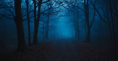 A dimly lit forest path shrouded in fog, creating an eerie and mysterious atmosphere.  Perfect for Halloween, thriller, or suspense-themed projects.