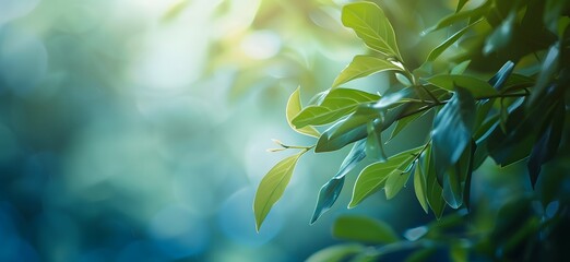 Green and Blue Gradient Leaves Minimalist Background