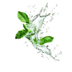 Fresh mint leaves splashing in clear water isolated on white background. Perfect for refreshing beverage or hygiene concepts. isolated PNG transparent Background.