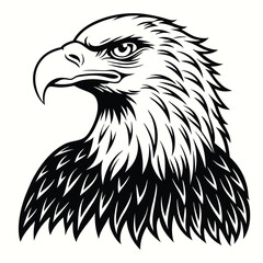 Eagle silhouette vector isolated on white background