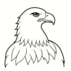 Eagle silhouette vector isolated on white background