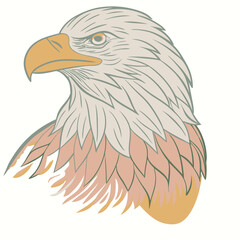 Eagle silhouette vector isolated on white background