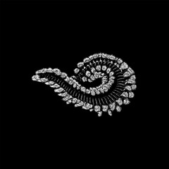 Obraz premium Bearded Fireworm hand drawing vector isolated on black background.