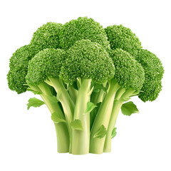 PNG Fresh broccoli with vibrant green color, white isolate background