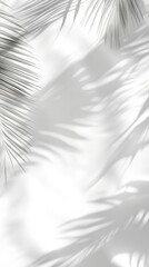 Obraz premium Textured White Background with Soft Palm Shadows in Corners 