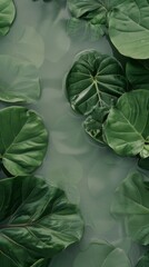 Tropical leaves floating in a pool of water