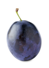 One tasty plum isolated on white. Fresh berry