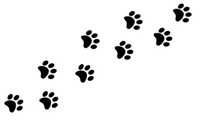 Set of cat footprints. Paw prints. A line of footprints. Vector template. Illustration isolated on white background.